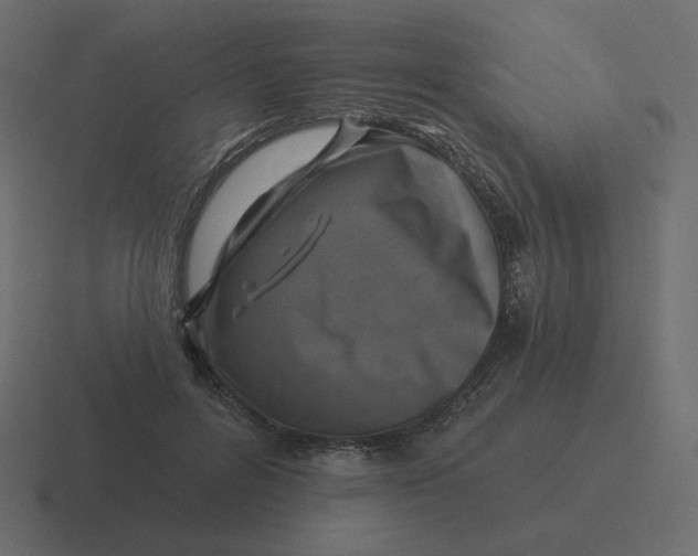 X0000116490600200912292107