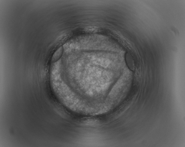 X0000116490601200912292107