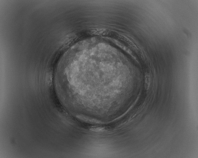 X0000116490602200912292107