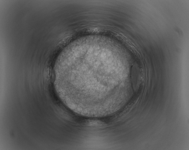 X0000116490605200912292107