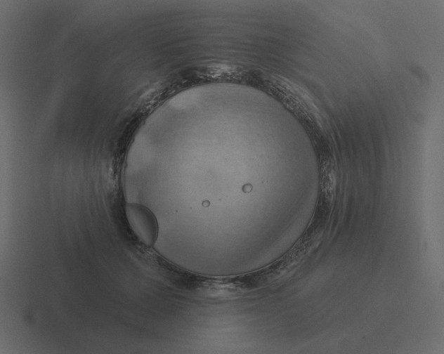 X0000116490607200912292107