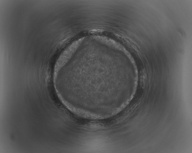 X0000116490608200912292107