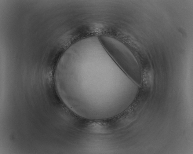 X0000116490611200912292107