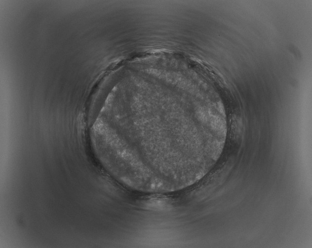 X0000116490612200912292107