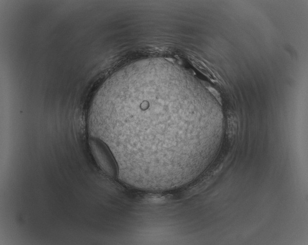 X0000116490613200912292107