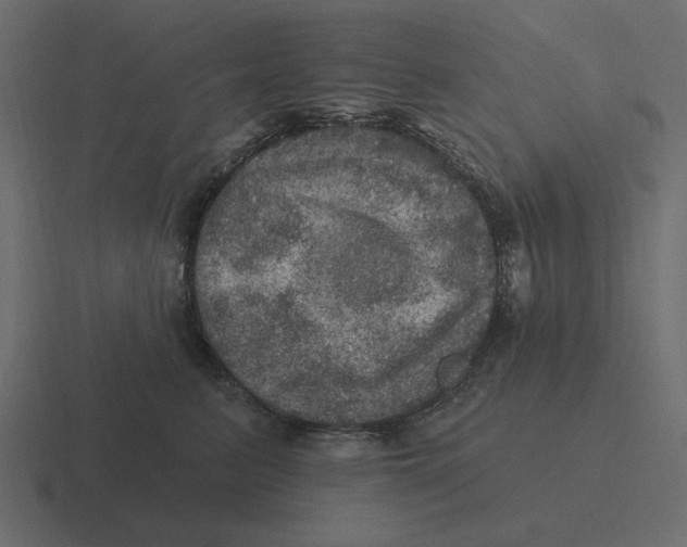 X0000116490615200912292107