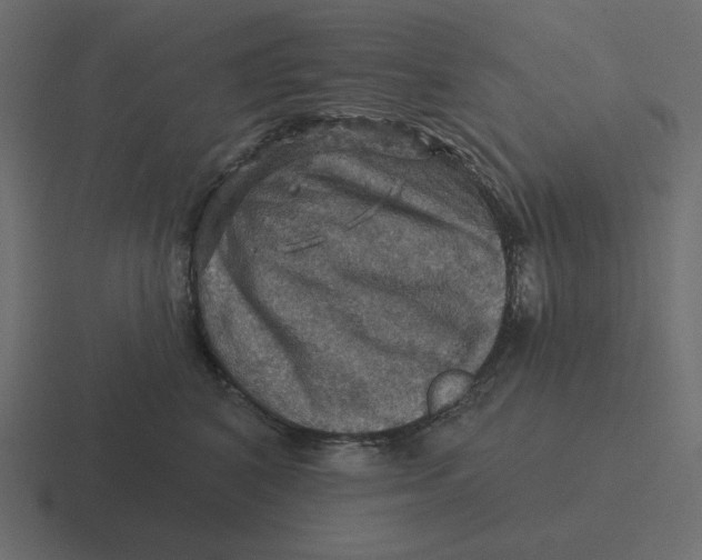 X0000116490616200912292107