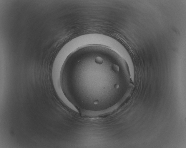 X0000116490617200912292107