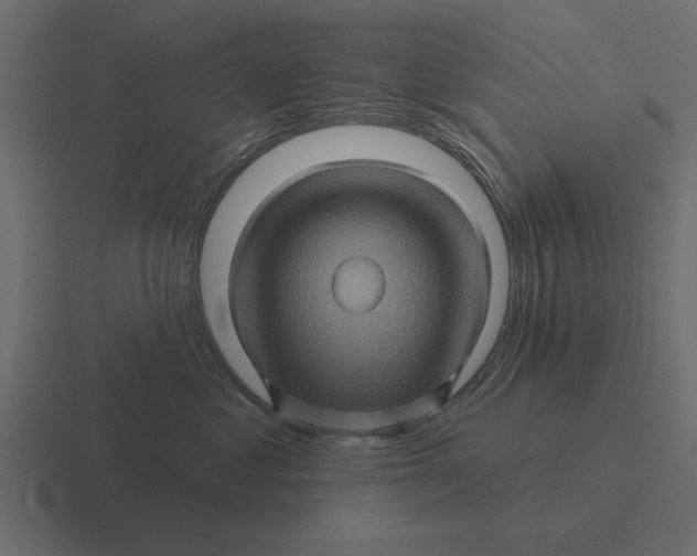 X0000116490621200912292106