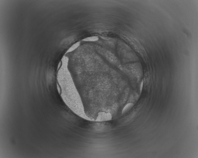 X0000116490623200912292106