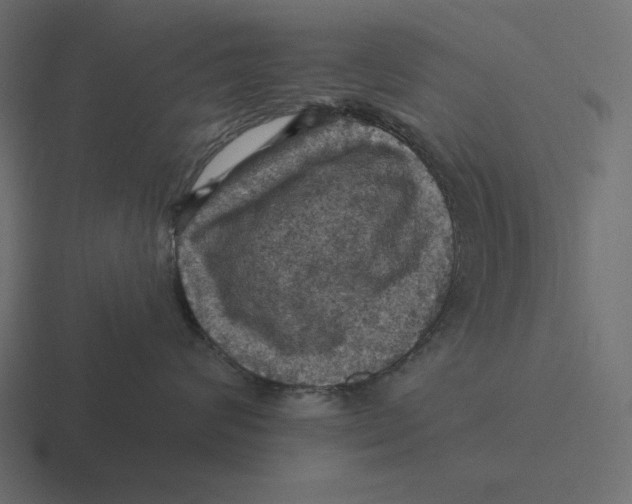 X0000116490624200912292106