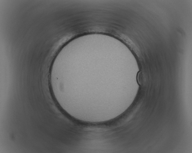 X0000116490625200912292106