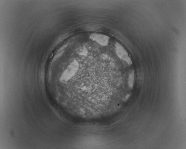 X0000116490626200912292106