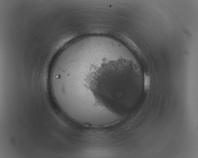 X0000116490627200912292106