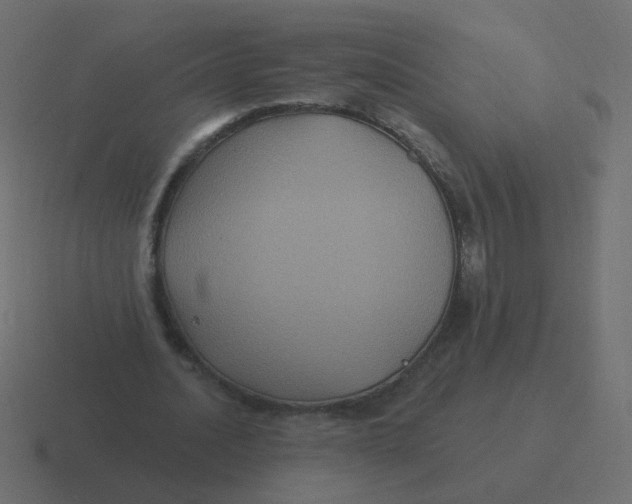 X0000116490628200912292106