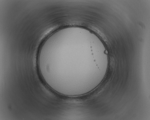 X0000116490629200912292106