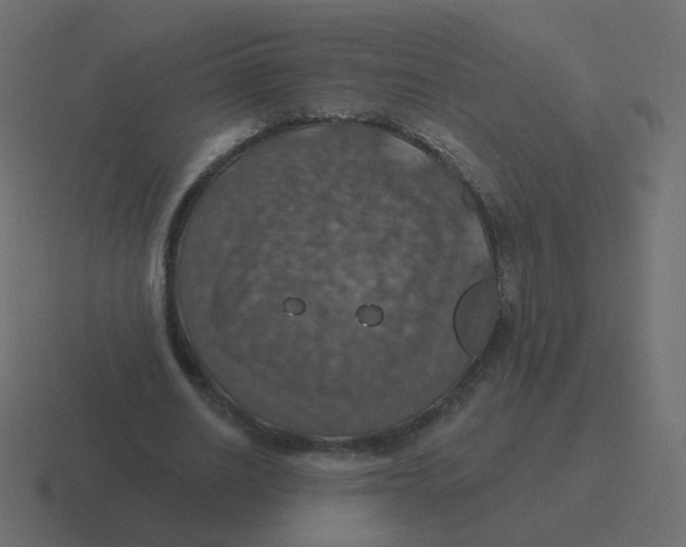 X0000116490630200912292106