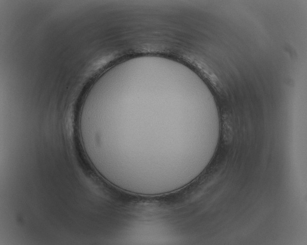 X0000116490631200912292106