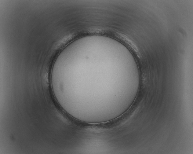 X0000116490633200912292106