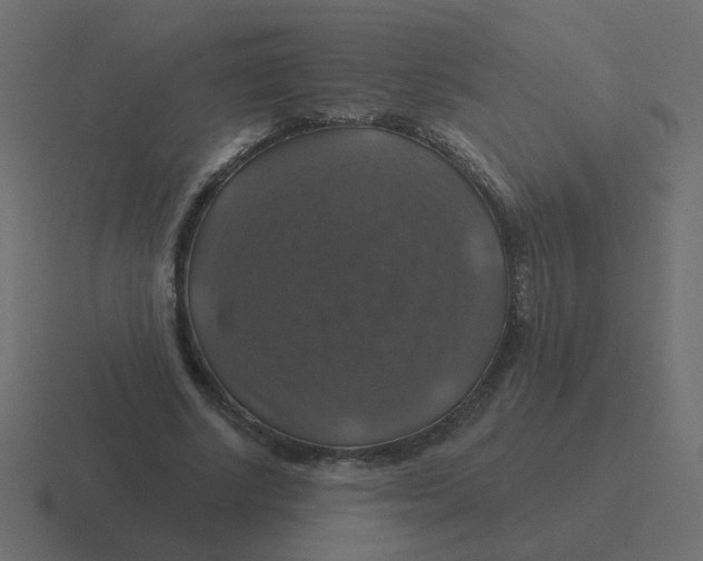 X0000116490634200912292106