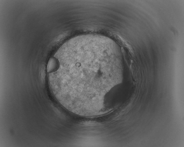 X0000116490637200912292106