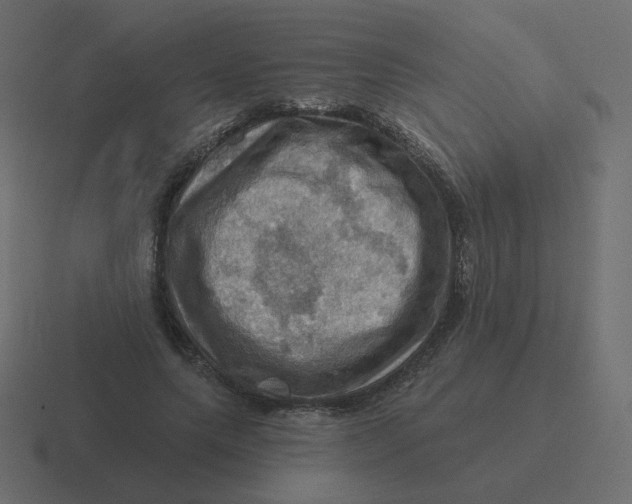 X0000116490639200912292106