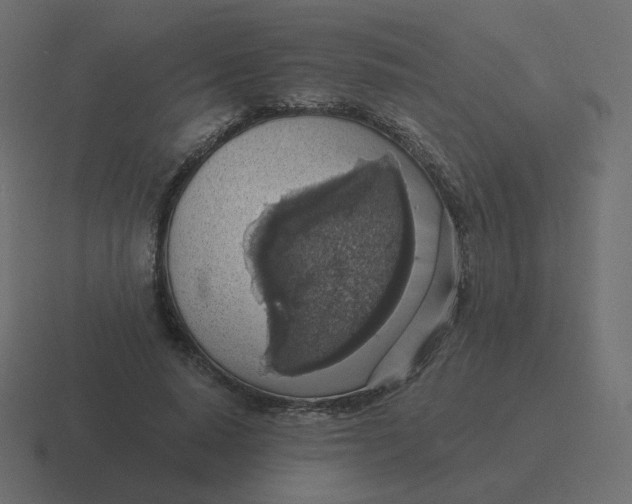 X0000116490640200912292106