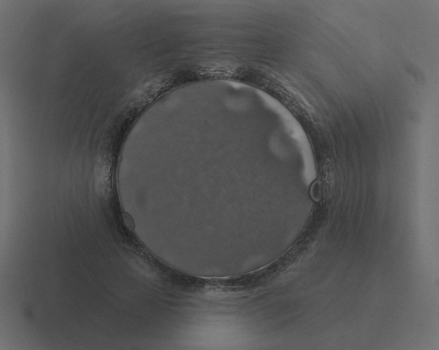 X0000116490641200912292106