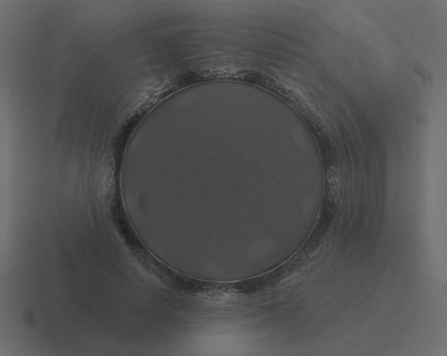 X0000116490642200912292106