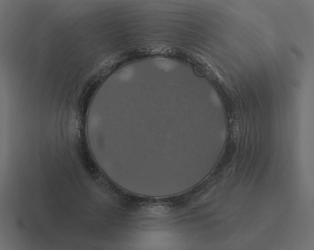 X0000116490643200912292106