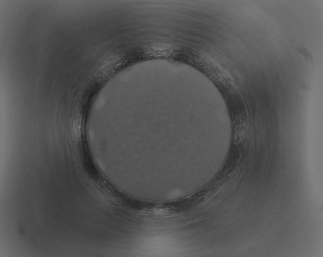 X0000116490647200912292106