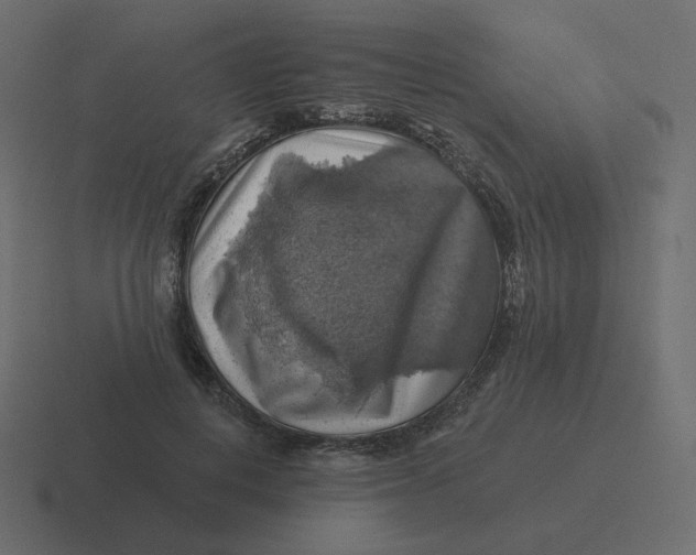 X0000116490648200912292106