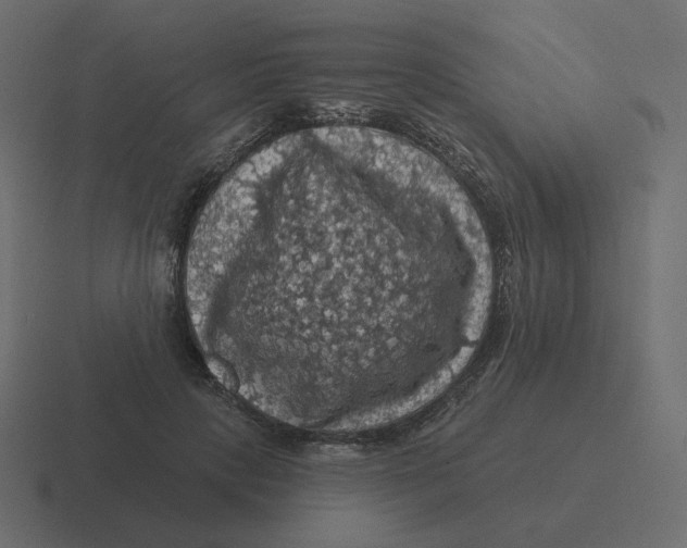 X0000116490649200912292106