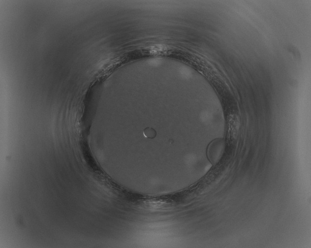 X0000116490650200912292106