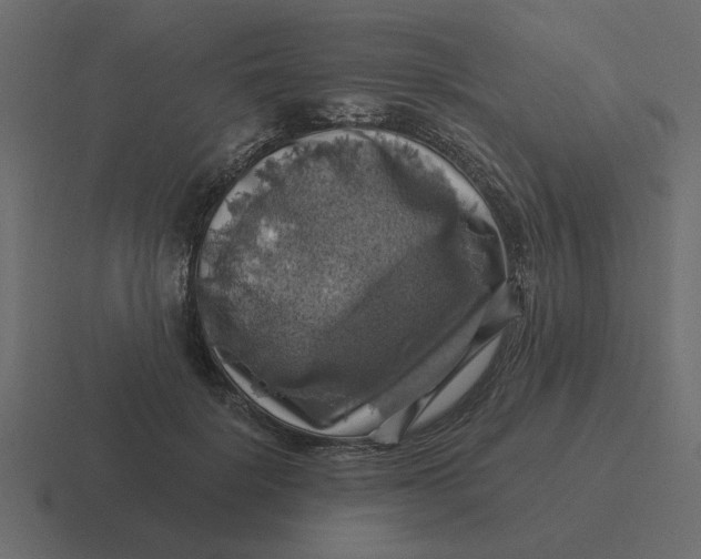 X0000116490652200912292106