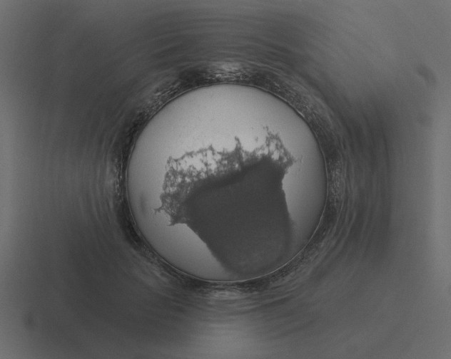 X0000116490653200912292106