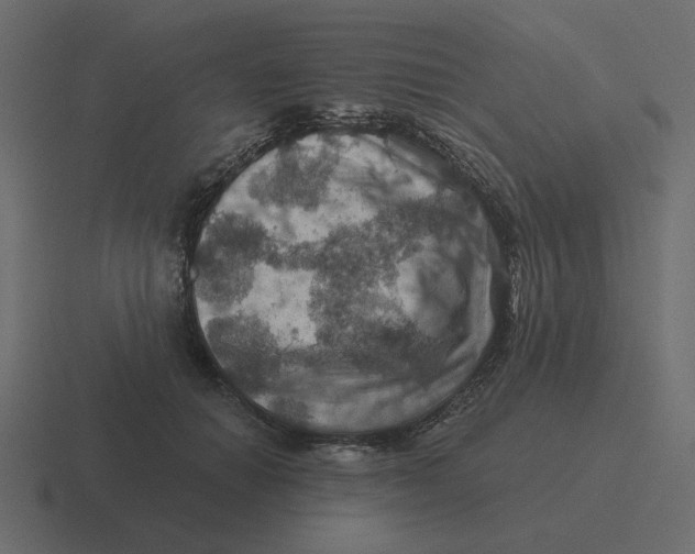 X0000116490654200912292106