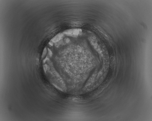 X0000116490655200912292106