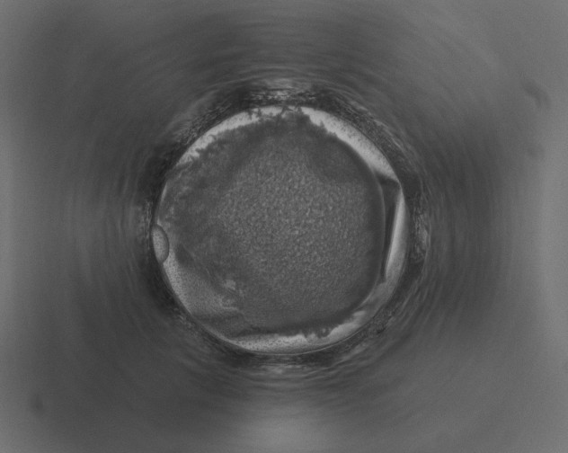 X0000116490657200912292106