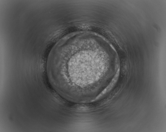 X0000116490658200912292106