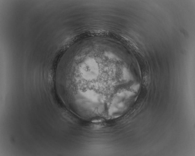 X0000116490662200912292106