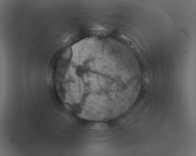 X0000116490663200912292106