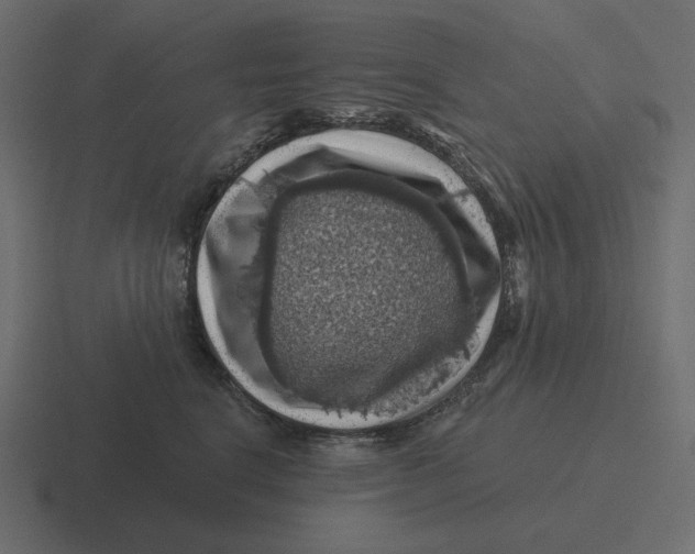 X0000116490664200912292106