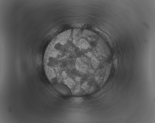 X0000116490665200912292106