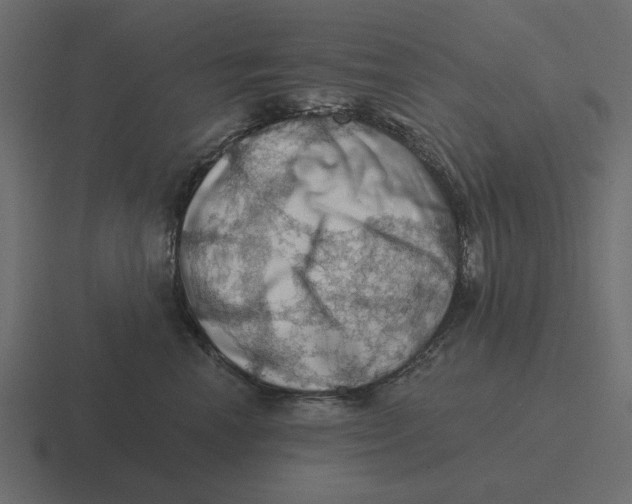 X0000116490666200912292106