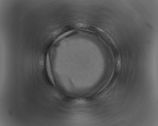 X0000116490668200912292106