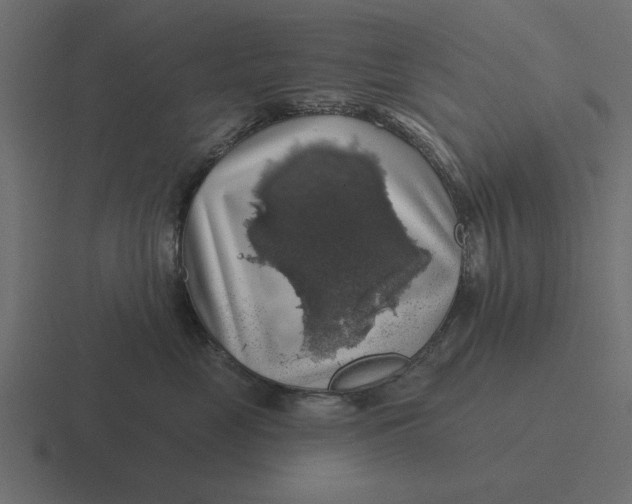 X0000116490669200912292106