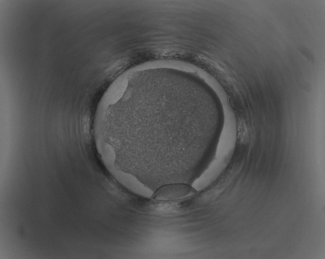 X0000116490670200912292106