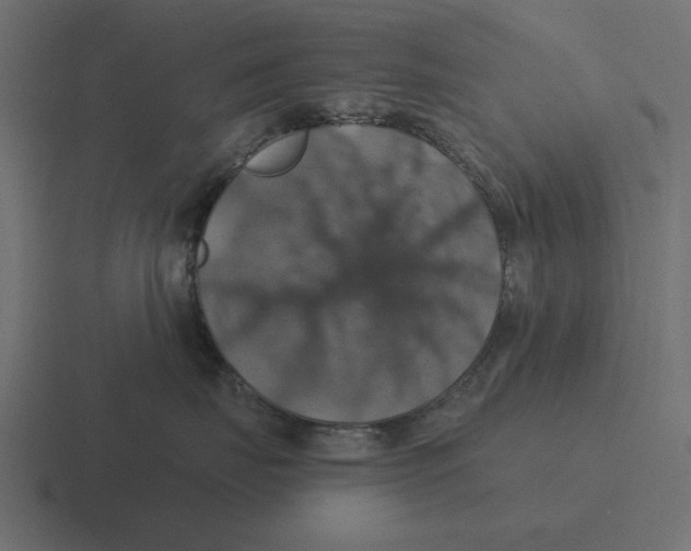 X0000116490671200912292106