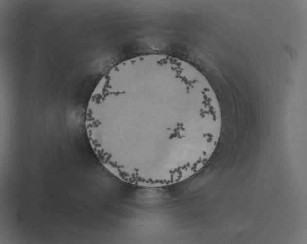 X0000116490672200912292106